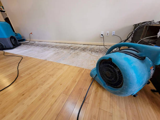 Professional Burst Pipe Water Damage technician working in Richmond, CA